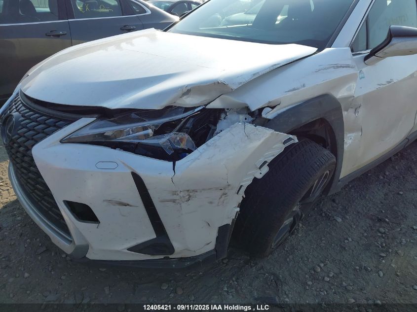 2020 Lexus Ux 250H VIN: JTHP9JBH2L2029858 Lot: 12405421