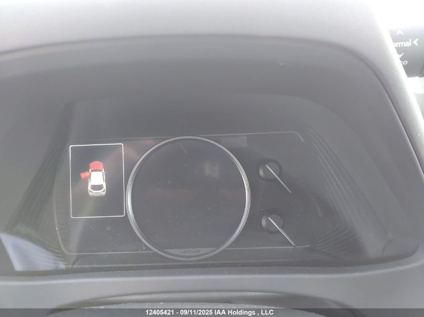 2020 Lexus Ux 250H VIN: JTHP9JBH2L2029858 Lot: 12405421