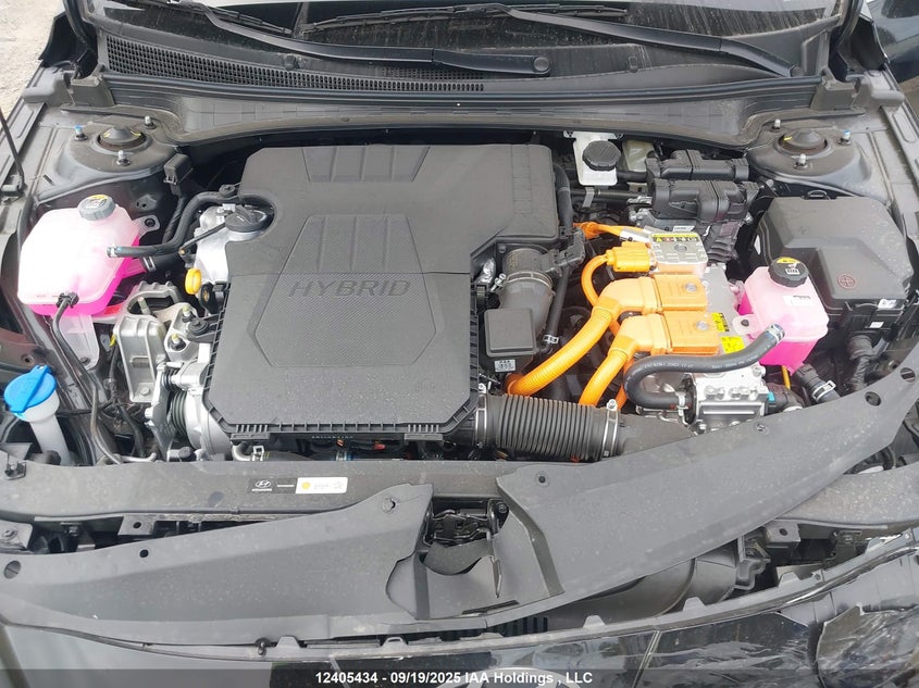 2025 Hyundai Elantra Hybrid Luxury VIN: KMHLN4DJ5SU151982 Lot: 12405434