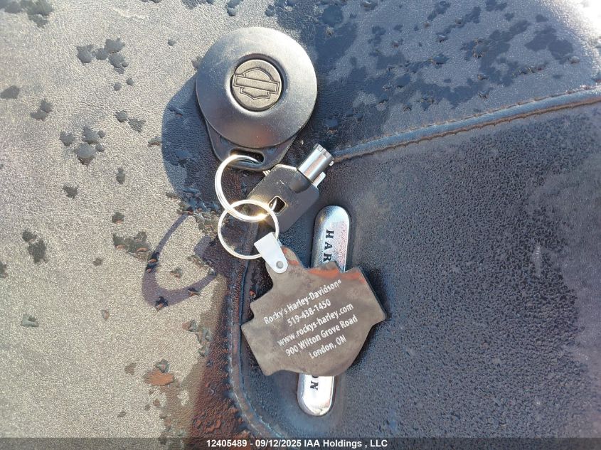 2006 Harley-Davidson Flstfse VIN: 1HD1PNF106Y954124 Lot: 12405489