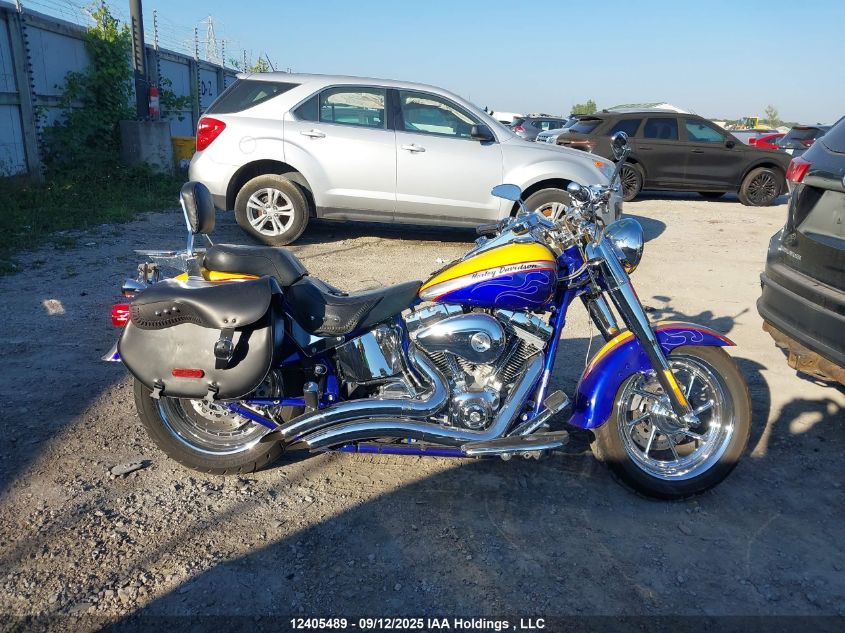 2006 Harley-Davidson Flstfse VIN: 1HD1PNF106Y954124 Lot: 12405489