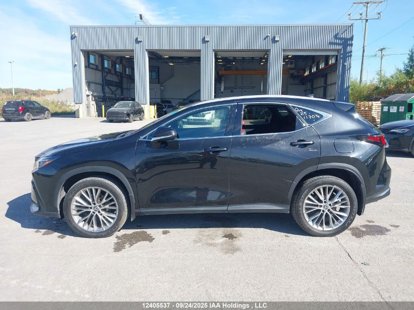2023 Lexus Nx 350H 350H VIN: 2T2GKCEZ6PC011209 Lot: 12405537