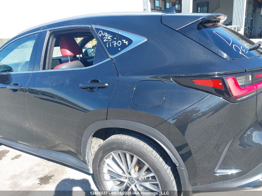 2023 Lexus Nx 350H 350H VIN: 2T2GKCEZ6PC011209 Lot: 12405537