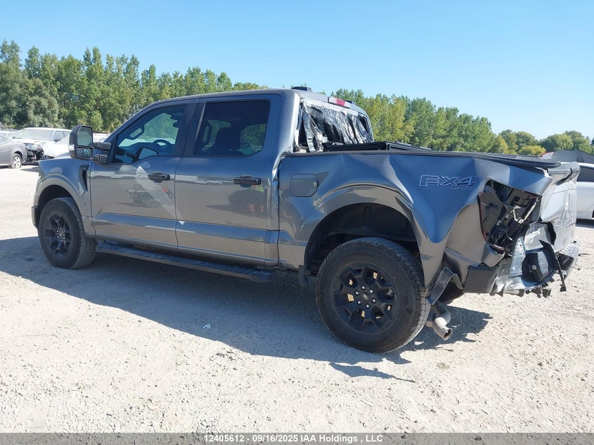 1FTFW2L8XRFB40668 2024 FORD F-150 photo no. 3