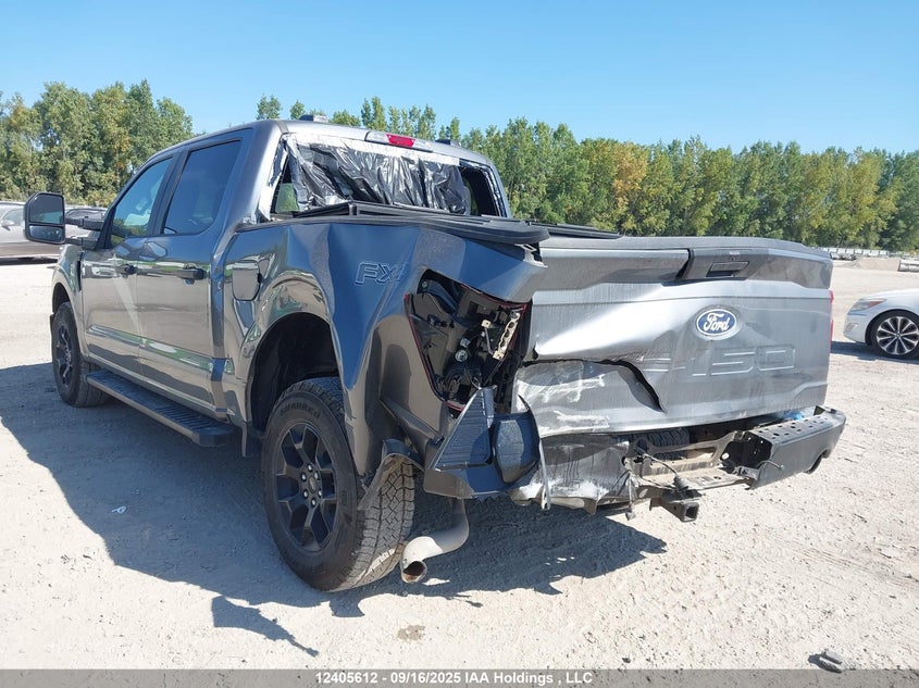 1FTFW2L8XRFB40668 2024 FORD F-150 photo no. 6