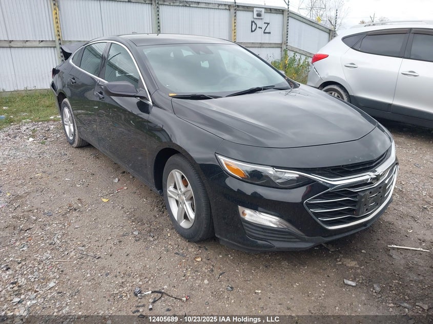 1G1ZB5ST8RF113459 2024 Chevrolet Malibu Ls auction photo 1