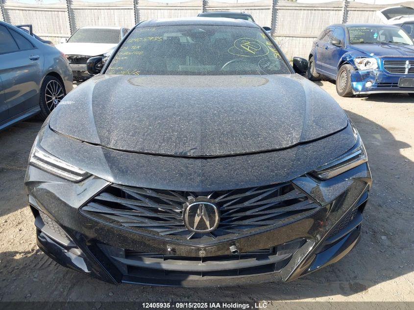2024 Acura Tlx A-Spec VIN: 19UUB6F51RA800428 Lot: 12405935