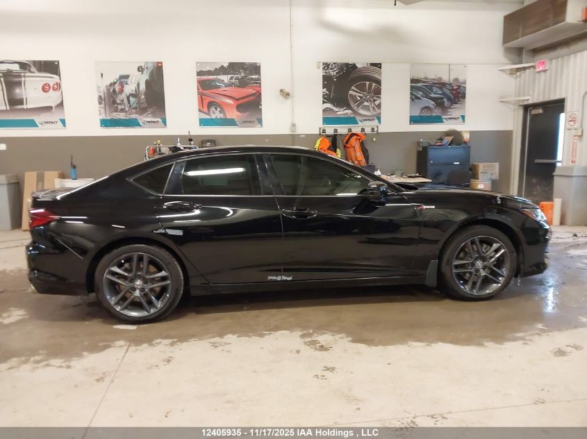 2024 Acura Tlx A-Spec VIN: 19UUB6F51RA800428 Lot: 12405935