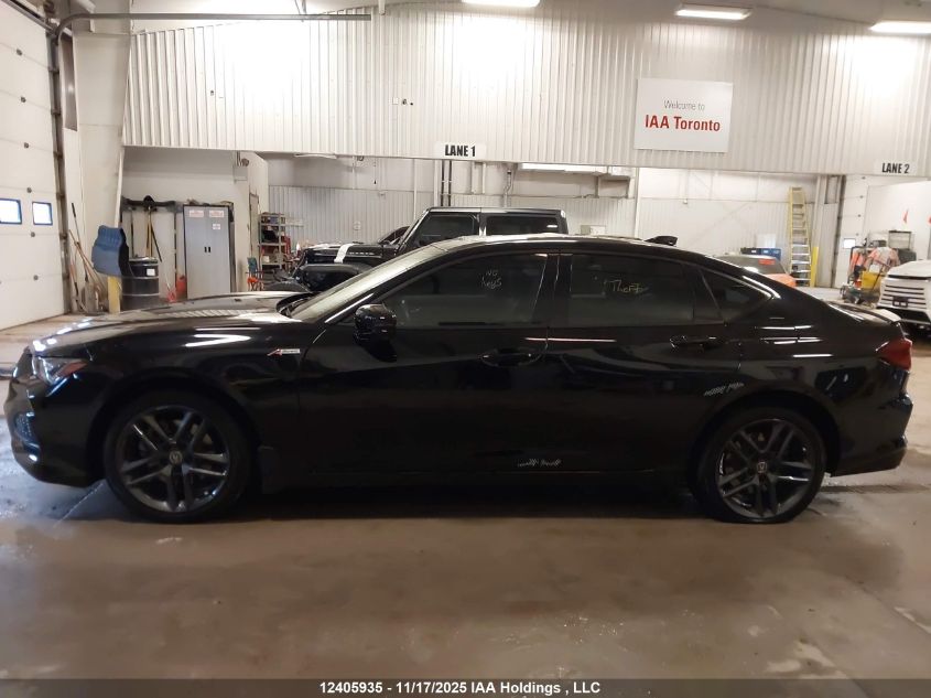 2024 Acura Tlx A-Spec VIN: 19UUB6F51RA800428 Lot: 12405935
