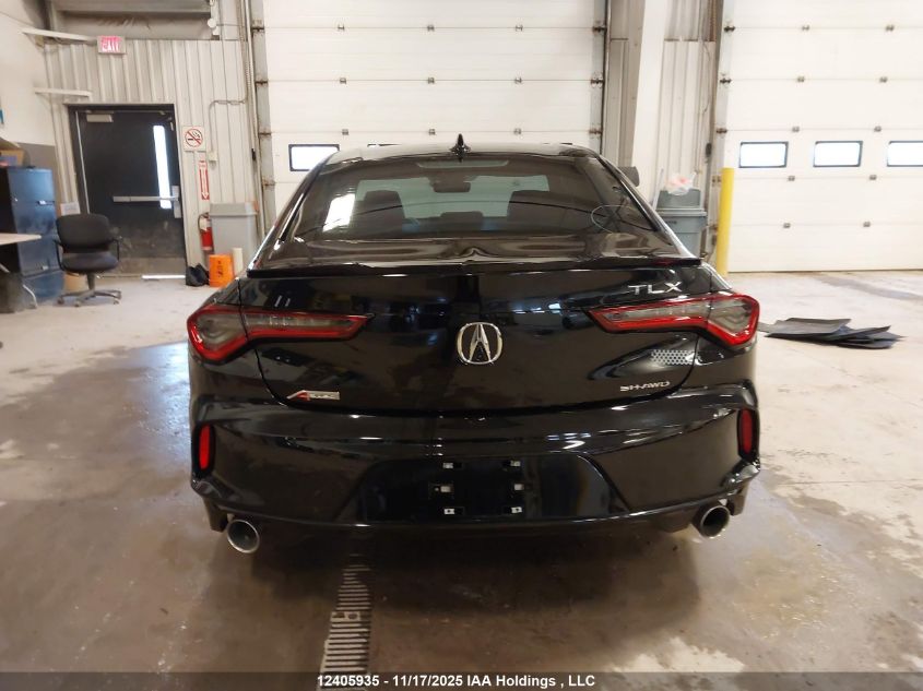2024 Acura Tlx A-Spec VIN: 19UUB6F51RA800428 Lot: 12405935