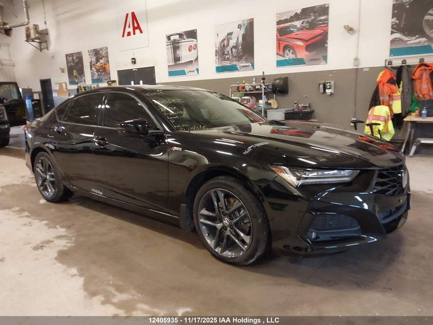 19UUB6F51RA800428 2024 ACURA TLX photo no. 2