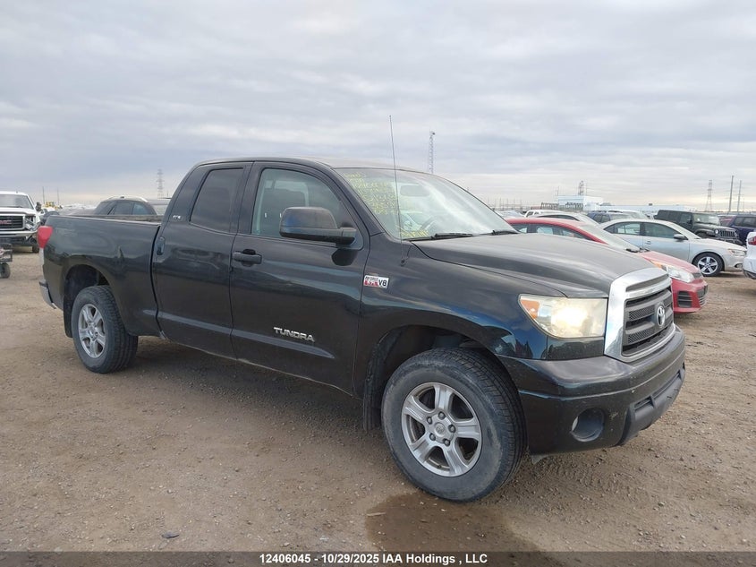 5TFUY5F15AX136348 2010 Toyota Tundra Double Cab Sr5 auction photo 1