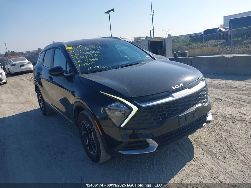 KNDPUCDF0R7295530 2024 Kia Sportage Lx auction photo 1