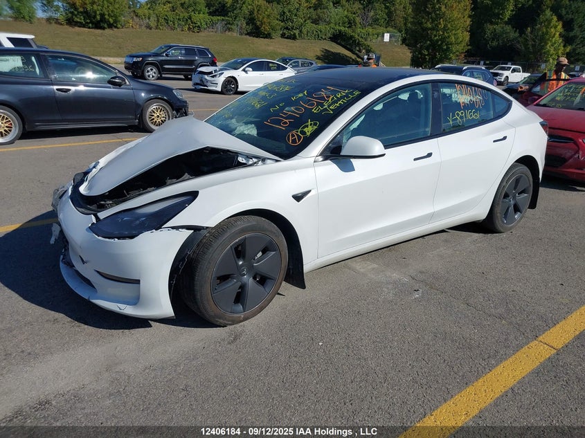 LRW3E1FA0PC891661 2023 TESLA MODEL 3 photo no. 2