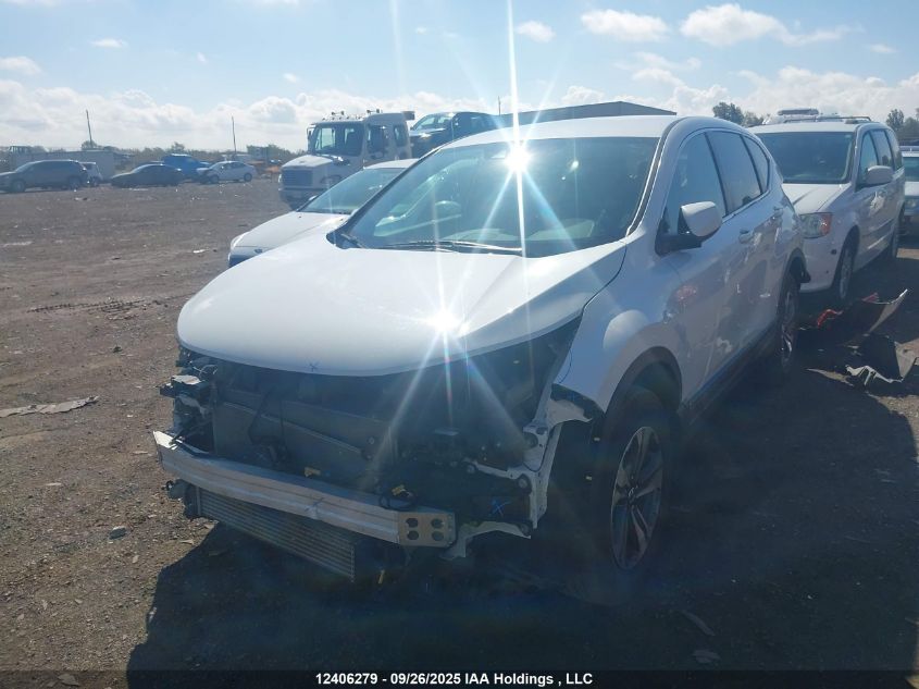 2021 Honda Cr-V Lx VIN: 2HKRW2H26MH237009 Lot: 12406279