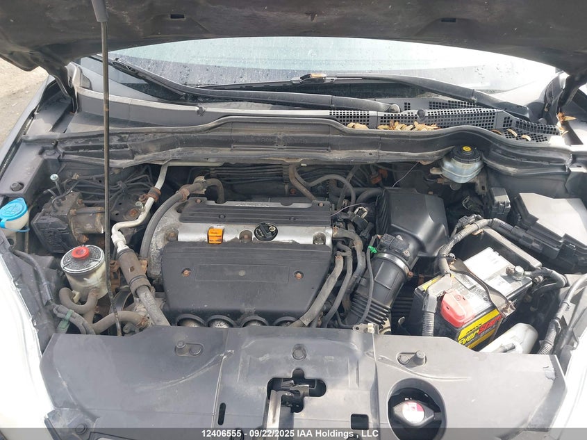 2008 Honda Cr-V VIN: 5J6RE485X8L800048 Lot: 12406555