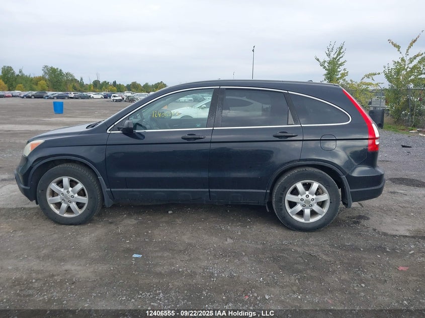 2008 Honda Cr-V VIN: 5J6RE485X8L800048 Lot: 12406555