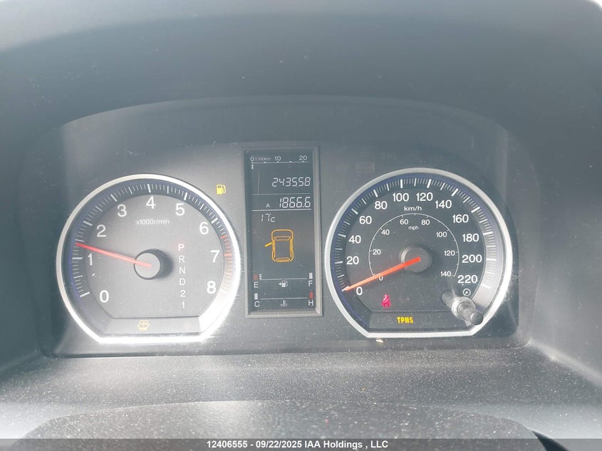 2008 Honda Cr-V VIN: 5J6RE485X8L800048 Lot: 12406555