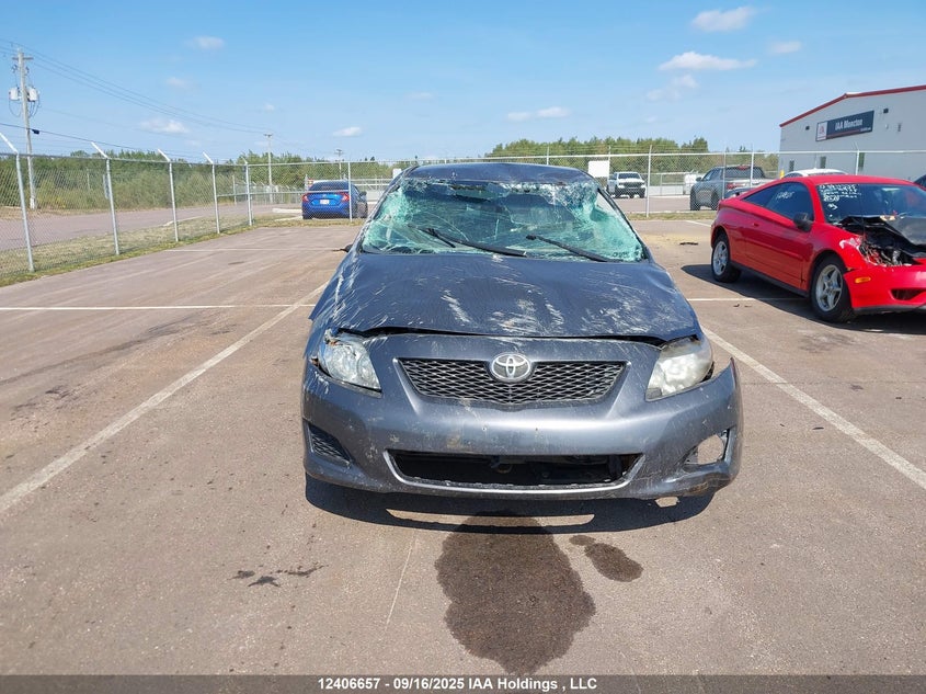 2009 Toyota Corolla S/Le/Xle VIN: 2T1BU40E89C182078 Lot: 12406657