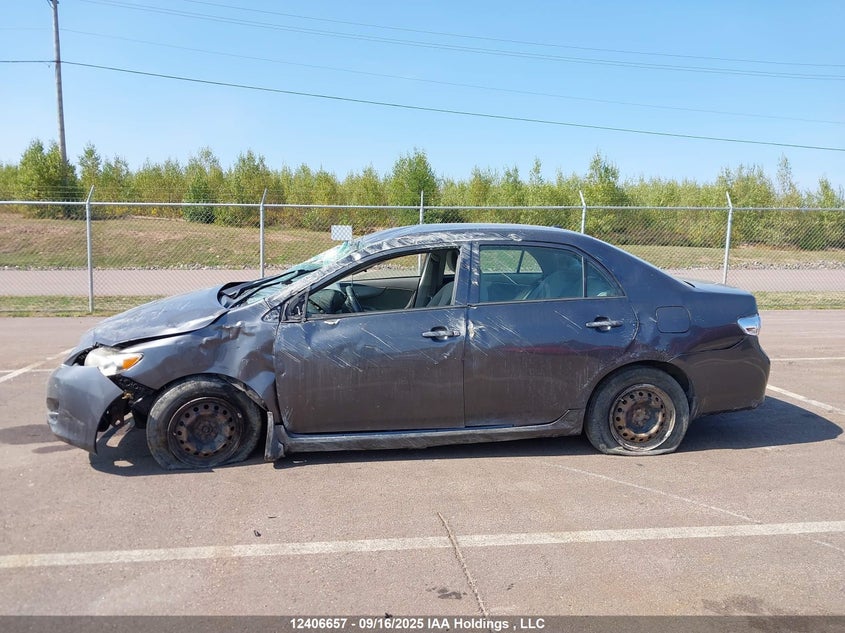 2009 Toyota Corolla S/Le/Xle VIN: 2T1BU40E89C182078 Lot: 12406657