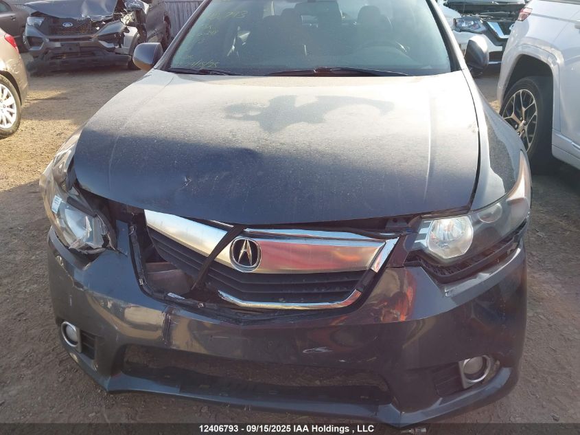 2011 Acura Tsx Premium/Technology Package VIN: JH4CU2F61BC800248 Lot: 12406793