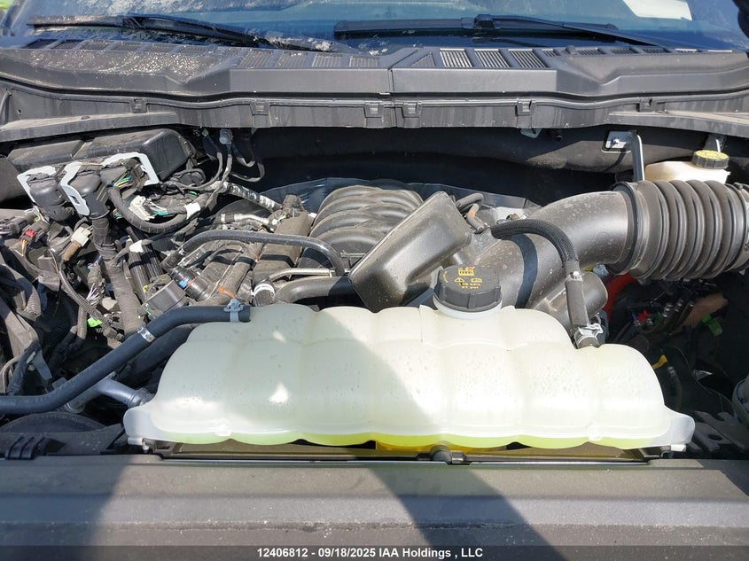 1FTFW3L54RKE76951 2024 FORD F-150 photo no. 10