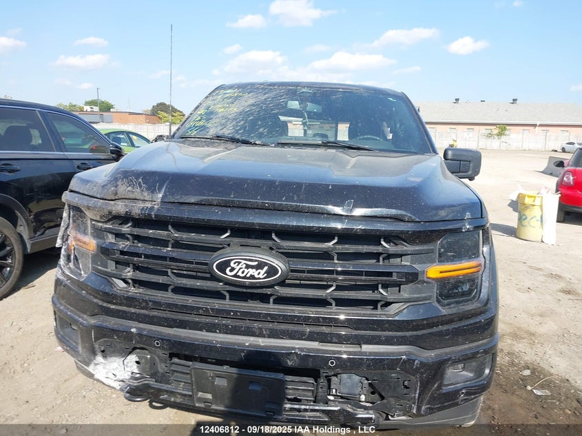 1FTFW3L54RKE76951 2024 FORD F-150 photo no. 12