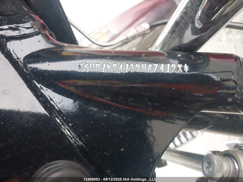 2009 Harley-Davidson Flhx VIN: 5HD1KB4139Y674128 Lot: 12406853