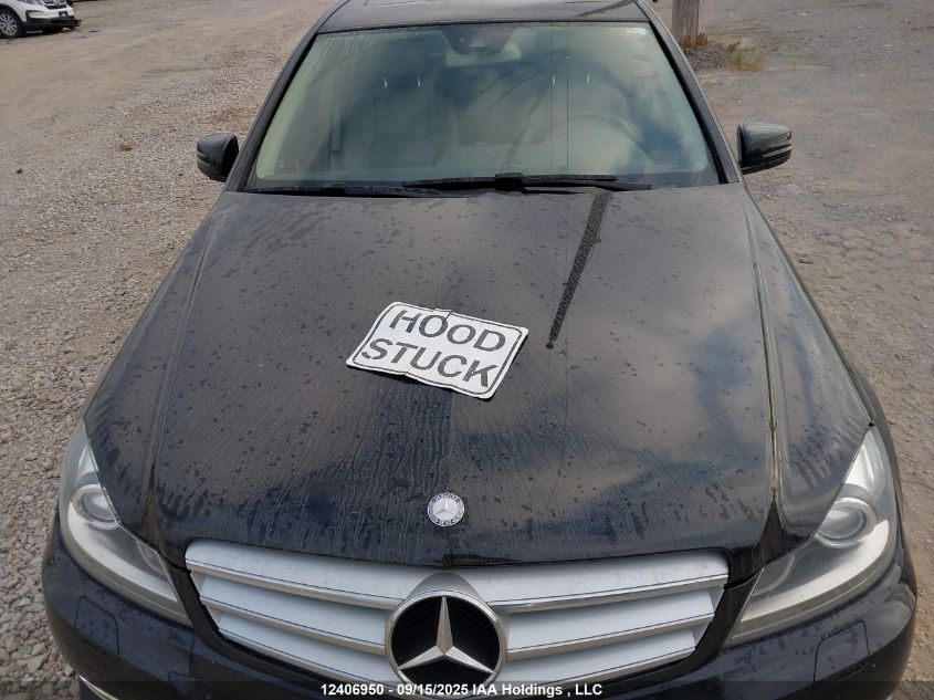 2013 Mercedes-Benz C 300 4Matic VIN: WDDGF8AB0DA873376 Lot: 12406950