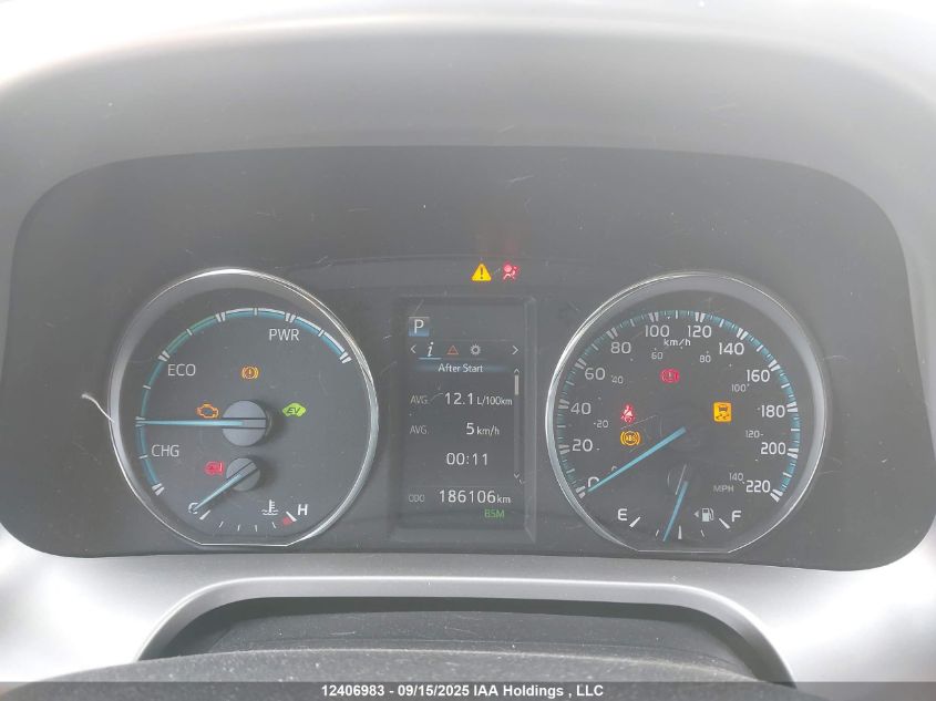 2016 Toyota Rav4 Hybrid Xle VIN: JTMRJREV1GD023139 Lot: 12406983