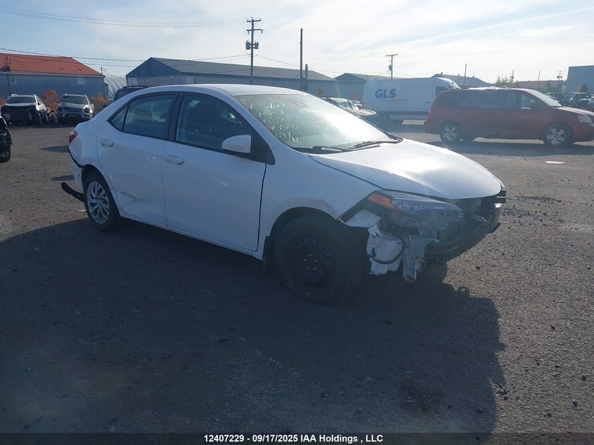 2T1BURHE0HC812899 2017 Toyota Corolla L/Le/Xle/Se/Xse auction photo 1