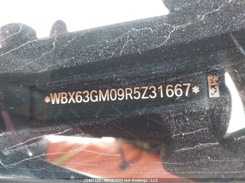 2024 BMW X2 xDrive28I VIN: WBX63GM09R5Z31667 Lot: 12407328