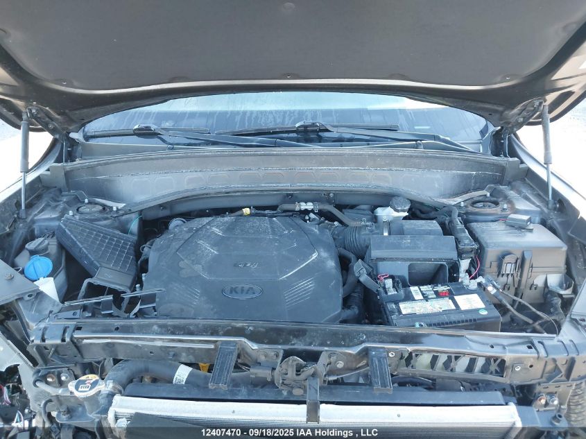 2020 Kia Telluride Sx VIN: 5XYP5DHC3LG038195 Lot: 12407470