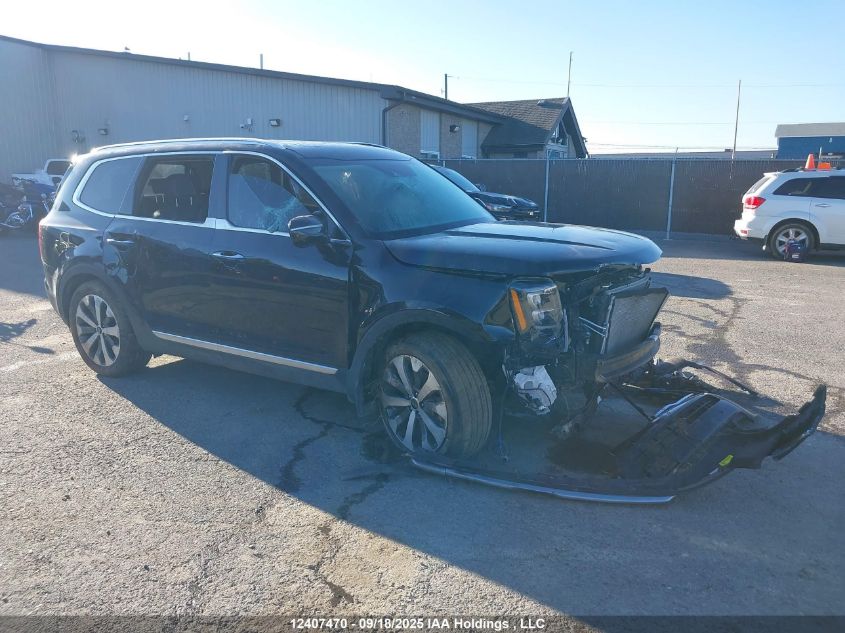 2020 Kia Telluride Sx VIN: 5XYP5DHC3LG038195 Lot: 12407470