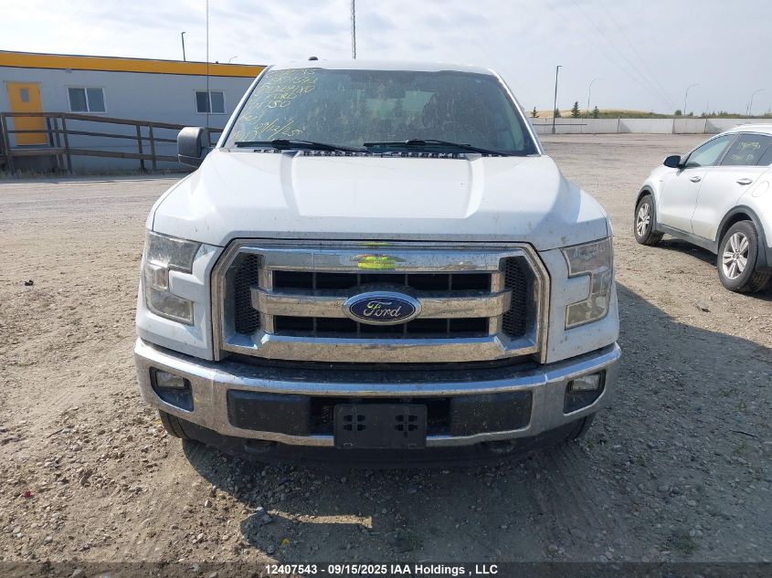 2016 Ford F150 Supercrew VIN: 1FTEW1EF8GFD27180 Lot: 12407543