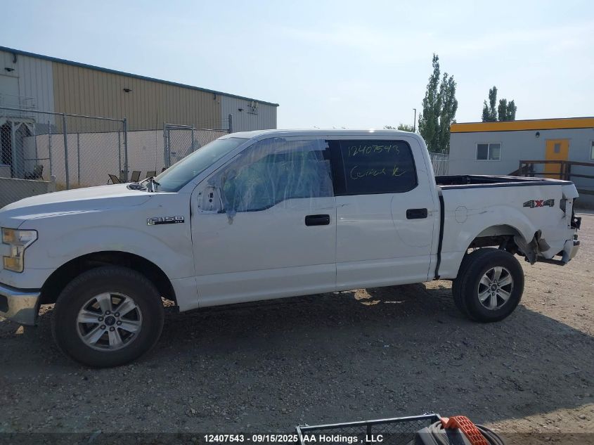 2016 Ford F150 Supercrew VIN: 1FTEW1EF8GFD27180 Lot: 12407543