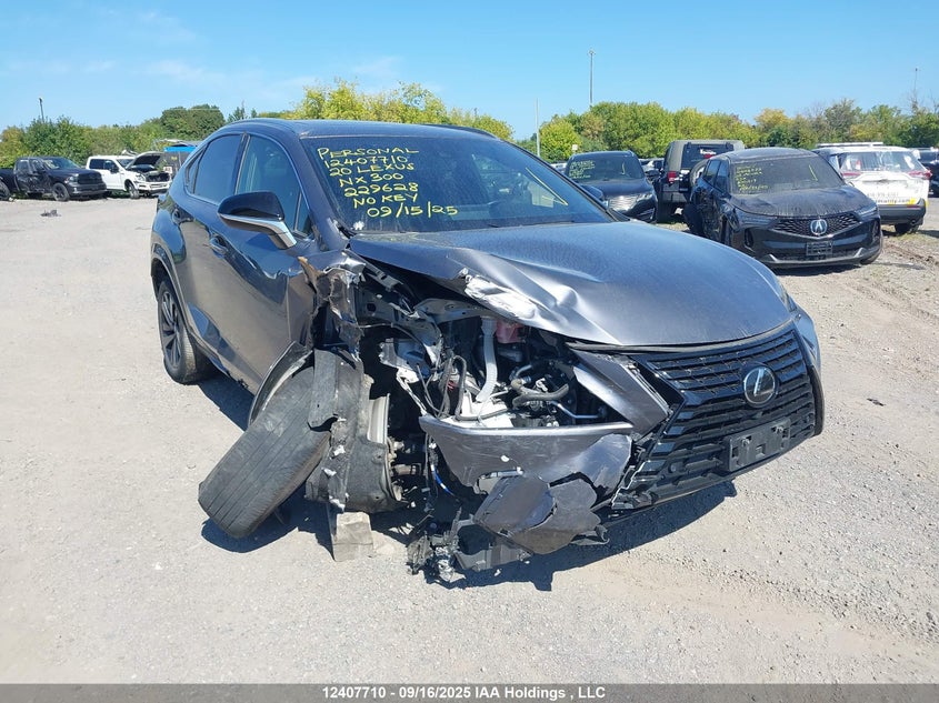JTJGARDZ7L2229628 2020 Lexus Nx 300 auction photo 1