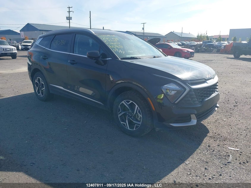 2024 Kia Sportage Lx VIN: KNDPUCDF8R7280287 Lot: 12407811