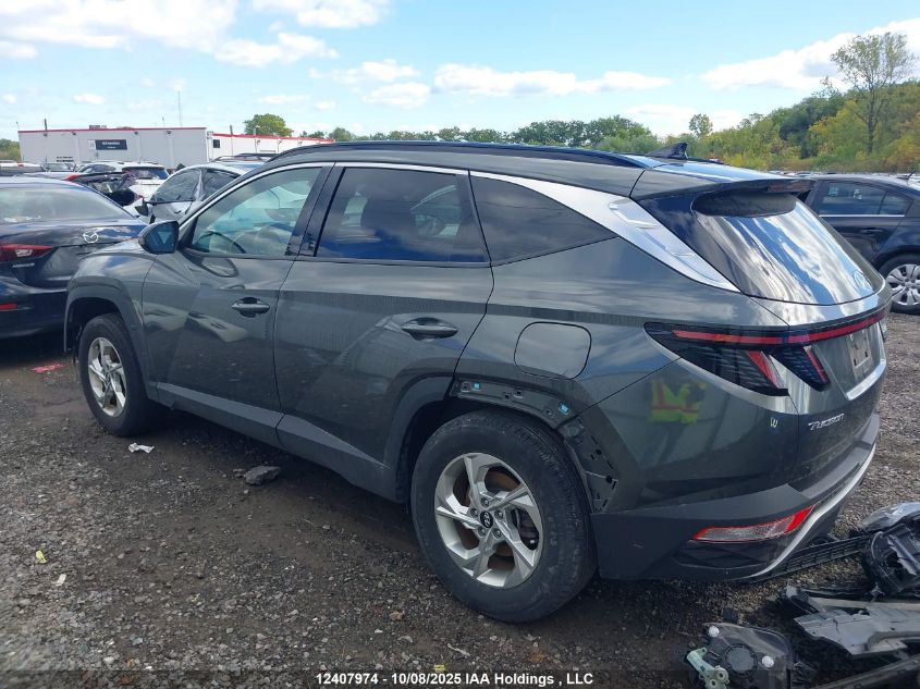 2024 Hyundai Tucson Trend Awd VIN: KM8JCCDE9RU302990 Lot: 12407974