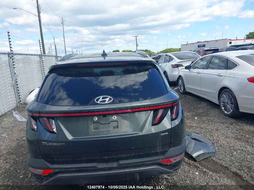 2024 Hyundai Tucson Trend Awd VIN: KM8JCCDE9RU302990 Lot: 12407974