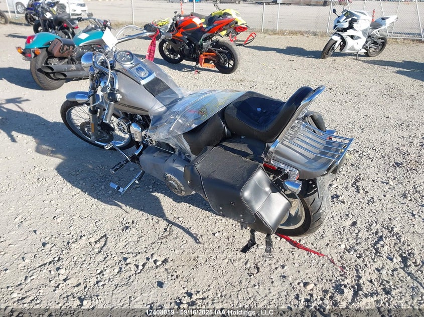 5HD1BV5147Y042526 2007 HARLEY-DAVIDSON SOFTAIL photo no. 3