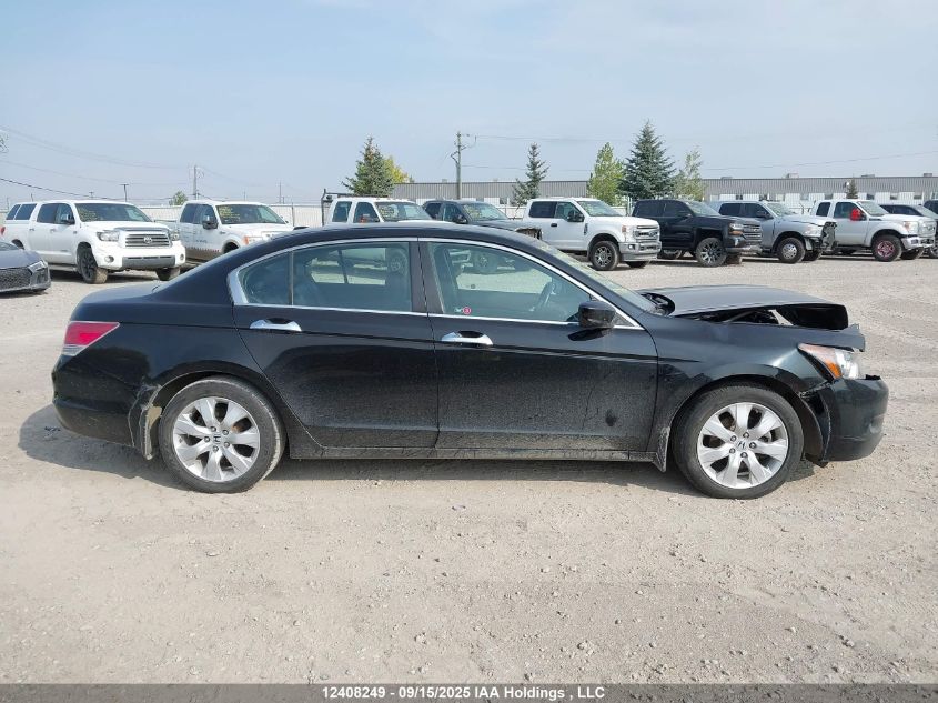 2010 Honda Accord Exl VIN: 1HGCP3F8XAA800874 Lot: 12408249