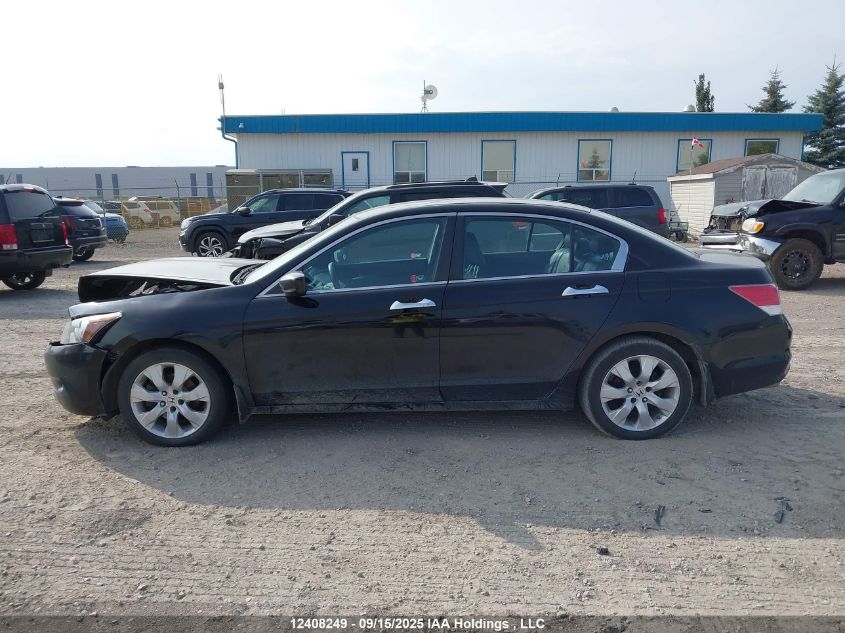 2010 Honda Accord Exl VIN: 1HGCP3F8XAA800874 Lot: 12408249