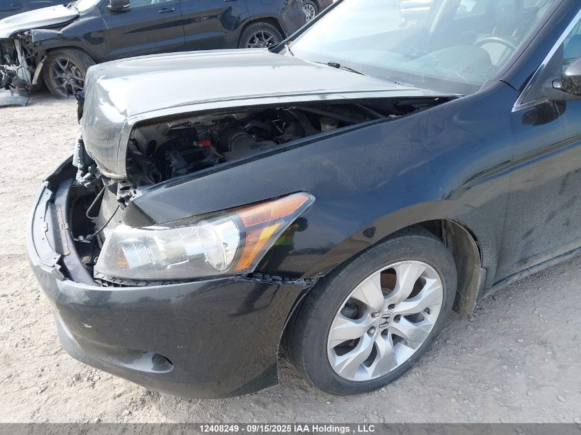 2010 Honda Accord Exl VIN: 1HGCP3F8XAA800874 Lot: 12408249