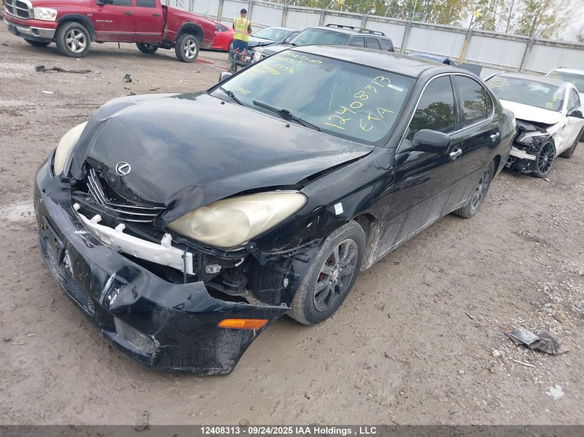 JTHBA30G345004264 2004 LEXUS ES photo no. 2