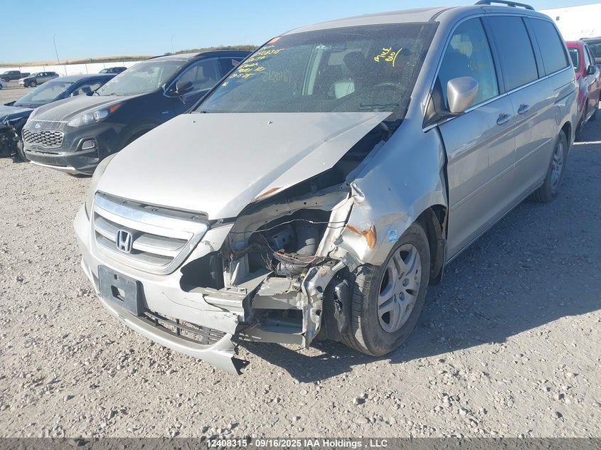 5FNRL38695B510137 2005 HONDA ODYSSEY photo no. 6