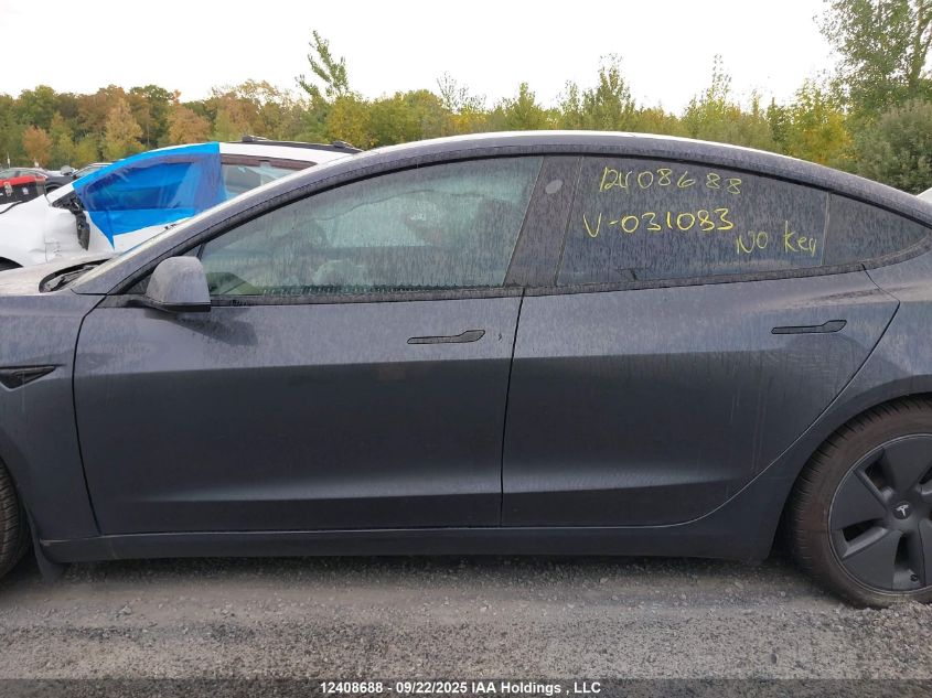 2021 Tesla Model 3 Standard Range/Standard Range Plus VIN: 5YJ3E1EA0MF031083 Lot: 12408688