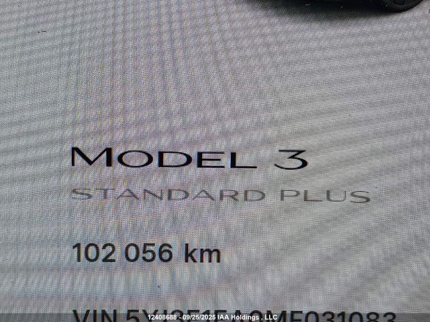 2021 Tesla Model 3 Standard Range/Standard Range Plus VIN: 5YJ3E1EA0MF031083 Lot: 12408688