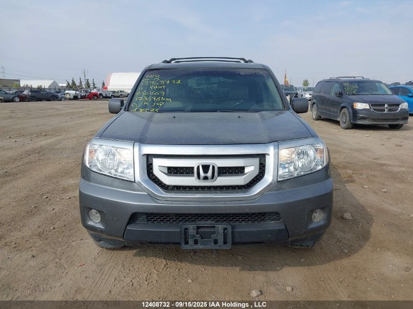 2011 Honda Pilot Ex-L VIN: 5FNYF4H53BB501669 Lot: 12408732