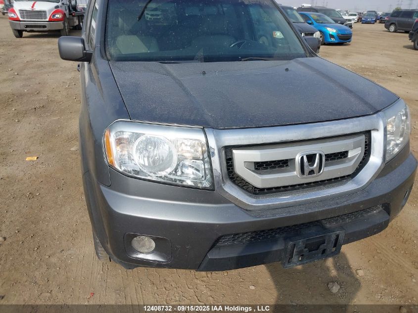 2011 Honda Pilot Ex-L VIN: 5FNYF4H53BB501669 Lot: 12408732
